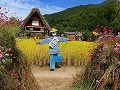 白川郷の案山子